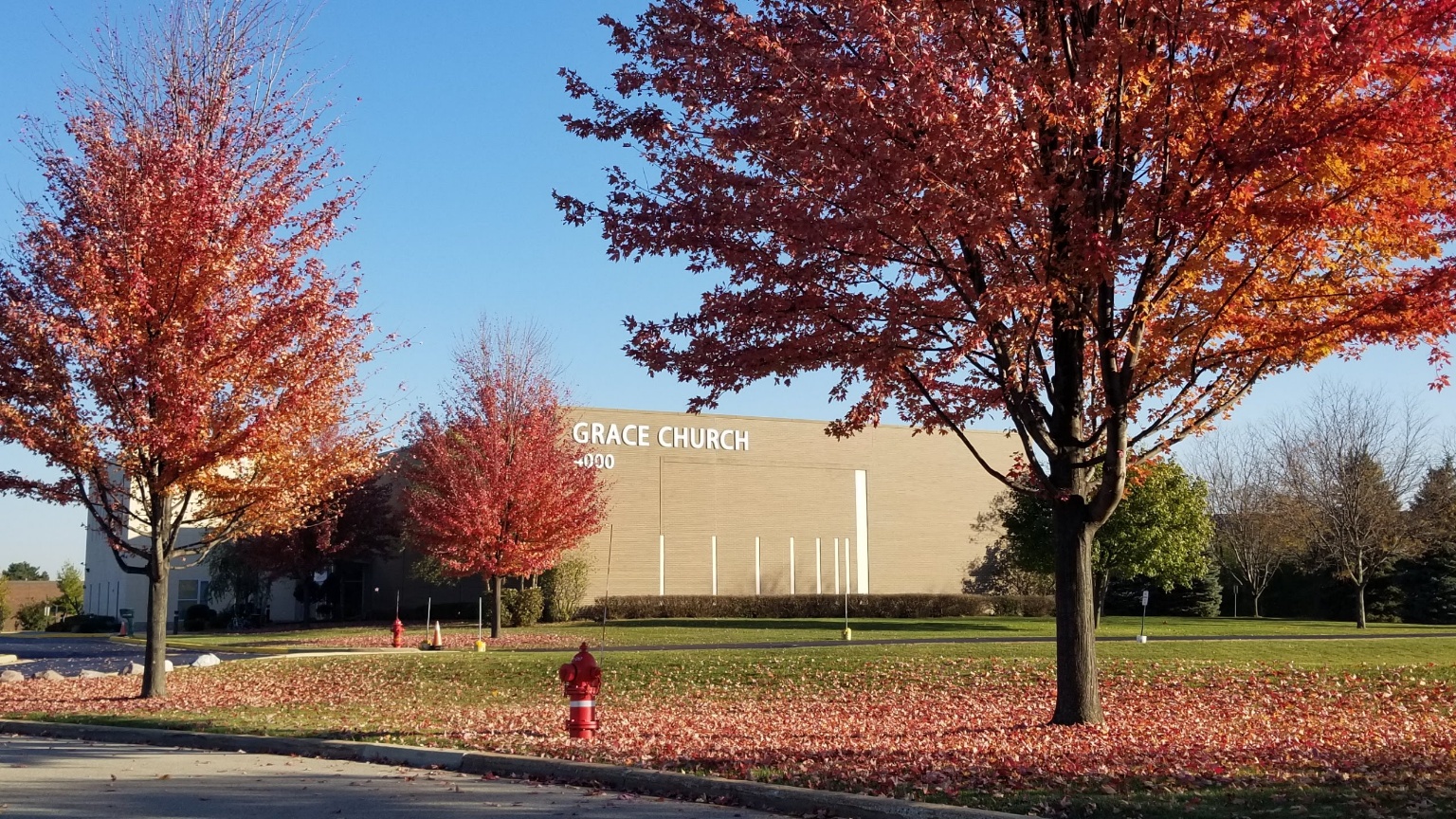 그레이스 교회